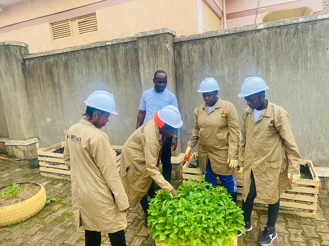 WEHAT Foundation Uganda’s Girls in Action project trains young women in urban farming, entrepreneurship, and sustainability, promoting food security and economic empowerment.